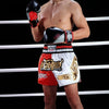 Sector MMA PU Boxing Gloves - SECTOR MMA