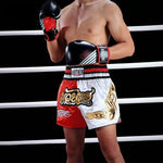 Sector MMA PU Boxing Gloves - SECTOR MMA