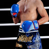 Sector MMA PU Boxing Gloves - SECTOR MMA