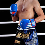 Sector MMA PU Boxing Gloves - SECTOR MMA