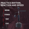 Sector MMA Boxing Reaction Training Speed Ball
