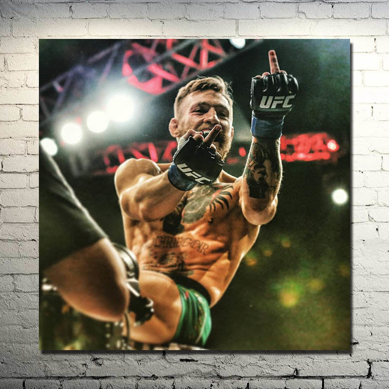 Conor McGregor Silk Poster - SECTOR MMA